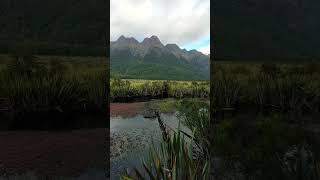 Mirror Lakes  Fiordland National Park  New Zealand 🇳🇿 [upl. by Sanger]