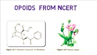 Mnemonic for Opoids  Drugsand alcohol abuseNEET [upl. by Khai]