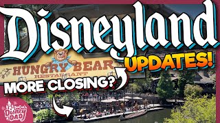 Disneyland Construction Updates amp Ride Closures JUNE 2024 [upl. by Ollecram]