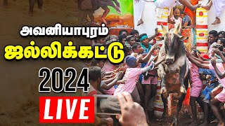 🔴அவனியாபுரம் ஜல்லிக்கட்டு நேரலை  Jallikattu Live 2024  Avaniyapuram [upl. by Betta]