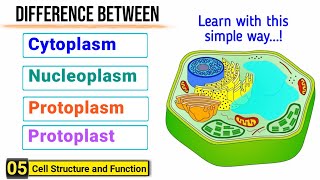 Difference among Cytoplasm Protoplasm Nucleoplasm and Protoplast  J Biology [upl. by Leidgam]