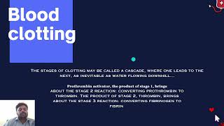 Blood clotting Mechanism Simplified [upl. by Ondrej504]
