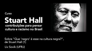 Liv Sovik  Sobre quotQue negro é esse na cultura negraquot de Stuart Hall 1 [upl. by Annnora]