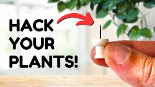 Top 10 Plant Hacks Everyone Should Know [upl. by Mlohsihc]