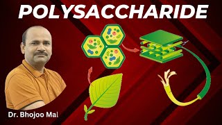 Polysaccharide  Carbohydrate  Class 11 Biology  by Dr Bhojoo Mal [upl. by Schug228]