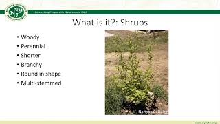 General Plant Identification  Invasive Plant Management Webinar [upl. by Eikcim]