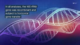 Phylogenies of the 16S rRNA gene lack concordance with core genome phylogenies [upl. by Ias]