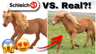 2022 Schleich Horses in REAL LIFE  Schleich Pferde [upl. by Mosnar]