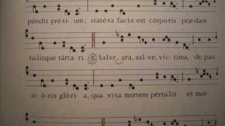 VEXILLA REGIS Inno Schola Gregoriana Mediolanensis Giovanni Vianini Milano Italia Gregoriano Ambrosiano studio e pratica in liturgia [upl. by Joana]