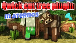 Qwick cut tree plugin in aternos server minecraft java edition Quick cut tree plugin [upl. by Carmelina]