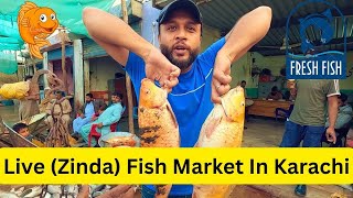 Live Fish Market  Karachi Biggest Sweet Water Fish Market  Zinda fish market [upl. by Cagle974]