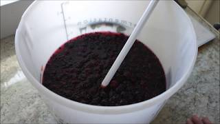 How To Make Blackberry Wine at Home [upl. by Warder]