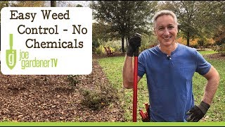 Easy Weed Control Without Chemicals [upl. by Erena]