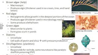 Microbiology chapter 12 [upl. by Joslyn842]