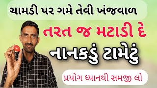 ચામડી પર ગમે તેવી ખંજવાળને એક નાનકડું ટામેટું આ રીતે મટાડી દે  ખંજવાળ નો ઈલાજ [upl. by Aed804]