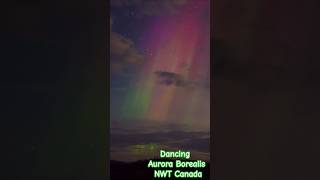 Dancing Aurora Borealis  Canada shorts aurora mountains river [upl. by Idnahr]