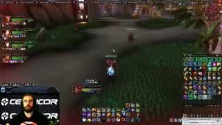 Bajheera  2HANDED ENHANCEMENT SHAMAN PvP  Battleground Field Testing [upl. by Damaris]