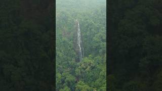 Katiki waterfall Araku Valley Please subscribe for more videosshorts viralvideo travel [upl. by Reppep]