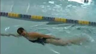 How to Swim the Freestyle Stroke  Breathing Pattern of the Freestyle Stroke [upl. by Birdie308]