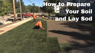 How to Prepare Your Soil and Lay Sod [upl. by Aliuqehs]