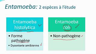 Chapitre 10 Parasitologie partie 2 Les protozoaires [upl. by Tova]