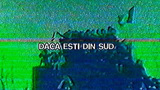 SUICIDJEGOS  DACA ESTI DIN SUD [upl. by Oriane]