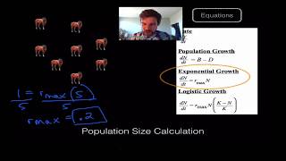 Population Ecology and Growth [upl. by Hurlbut570]