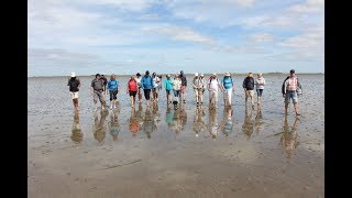 Weltnaturerbe Wattenmeer [upl. by Eldreeda]