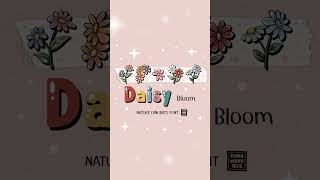 Daisy Bloom‪  Dingbats Font‬ by Tamawuku 18CC  httpslinktreetamawuku [upl. by Rabaj596]