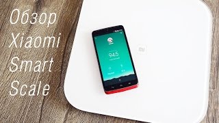 Обзор весов Xiaomi Smart Scale [upl. by Dehsar]