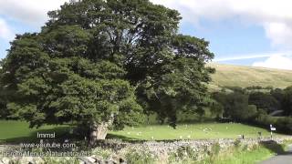 Yorkshire  Dent Village Dales amp Beautiful British Countryside Relax With Nature [upl. by Nylleoj]