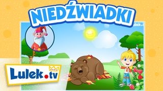 Ciekawostki o niedźwiadkach Zwierzęta dla dzieci Lulektv [upl. by Atorod]