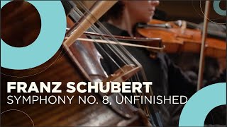 The first Romantic symphony Franz Schubert  Symphony No 8 Unfinished [upl. by Catton862]