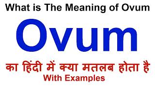 Ovum Meaning in Hindi  Ovum Definition  Ovum Ka Matlab Kya Hota Hai  Ovum in Hindi [upl. by Skelton248]