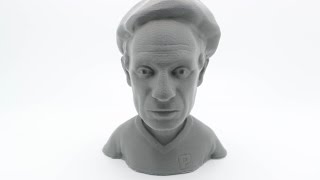 Duplicator i3 PLUS Printing Pablo Picasso Bust  Wanhao USA [upl. by Annekcm]