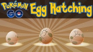 Pokemon GO  How To Hatch Eggs Pokemon GO iOSAndroid Tips amp Tricks [upl. by Leahcim]