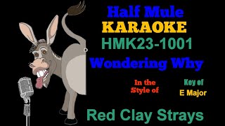 Red Clay Strays  Wondering Why Karaoke [upl. by Shaffert507]