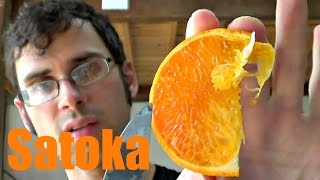 Setoka Fruit Review in Japan  Weird Fruit Explorer Ep 171 [upl. by Nare]