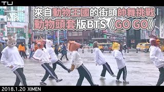 BTS《GOGO》超萌動物面具版！西門町帥氣街頭挑戰！《VS MEDIA》 [upl. by Ocsecnarf850]