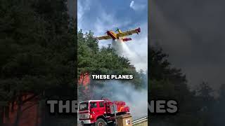 How Do Firefighting Planes Refill in Seconds [upl. by Fiann488]