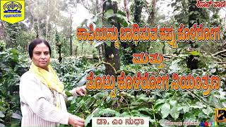 KISANVANI  CONTROL OF BLACK ROT AND STALK ROT DISEASE  INTERVIEW WITH DR M SUDHA [upl. by Nikolaos850]