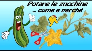 POTARE LE PIANTE DELLE ZUCCHINE [upl. by Amesari]