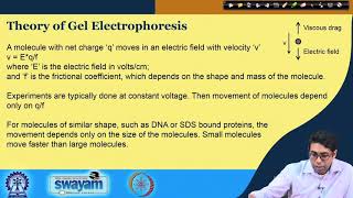 Lecture 11  Gel Electrophoresis of DNA and Proteins Part  I [upl. by Kramer913]