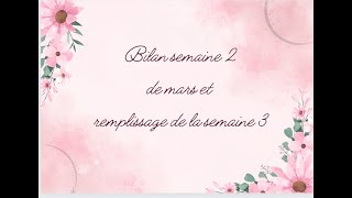 Bilan semaine 2 de mars et remplissage de la semaine 3 [upl. by Akinej678]