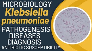 Klebsiella pneumoniae pathogenesis  Klebsiella pneumoniae microbiology [upl. by Greenlee]