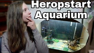 Aquarium OPNIEUW opstarten ONTSMETTEN AQUARIUM Nickey [upl. by Karrah466]