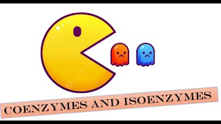 Enzymes Coenzymes and Isoenzyme [upl. by Whiteley]