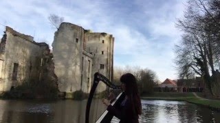 Harp Music  Traditional Irish Celtic Music  Seven Step Barndance played on Camac Bardic 27 [upl. by Ariek]