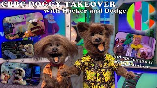 CBBC LIVE Doggy Takeover with Hacker and Dodge  and special guest Molly Rainford [upl. by Hope]