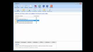Unter Windows nach doppelten Dateien suchen  PerdiscoVideo [upl. by Riay]